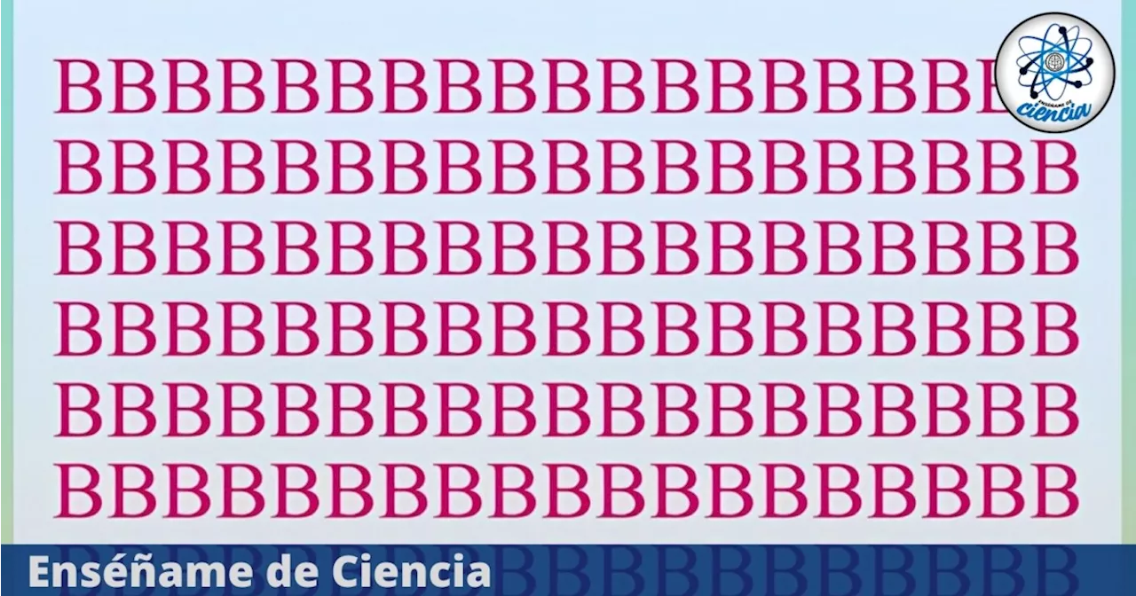 Acertijo visual de MÁXIMA DIFICULTAD: Solo el 5% encuentra el NÚMERO TRES entre las letras “B”