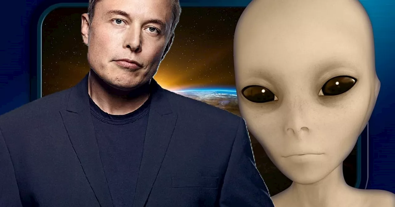 ¿Broma encubierta? Elon Musk dice que es un extraterrestre y “nadie le cree”