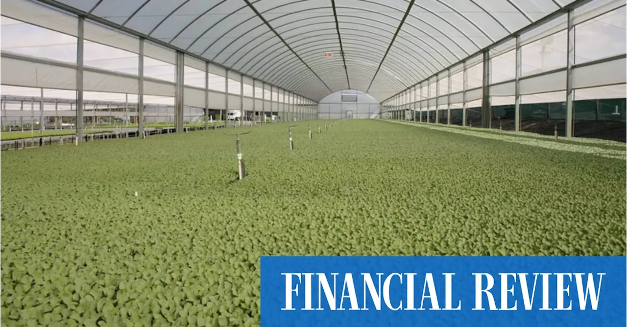 Rest Super-backed Cibus Capital to push into regenerative farming and using robotics