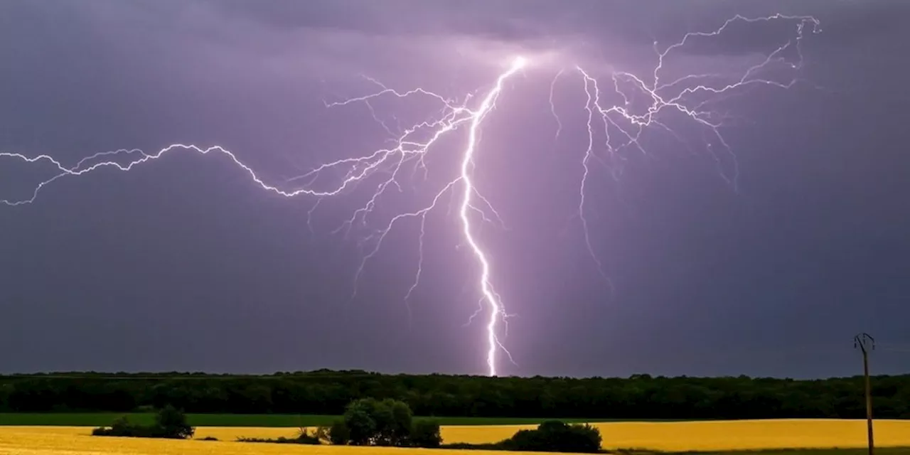 Maßnahmen und Erste Hilfe: Wenn es blitzt und donnert: So verhält man sich richtig bei Gewitter