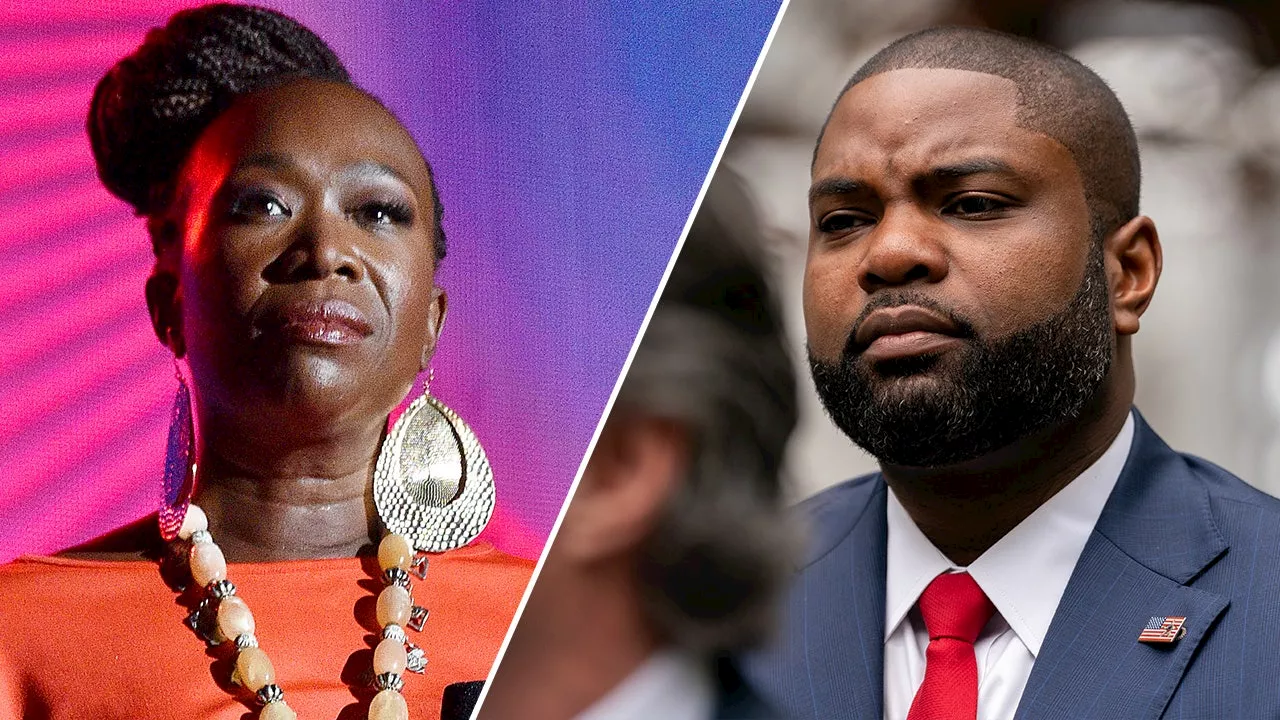 Byron Donalds fires back at MSNBC's Joy Reid after she calls him MAGA prop 'Black guy'