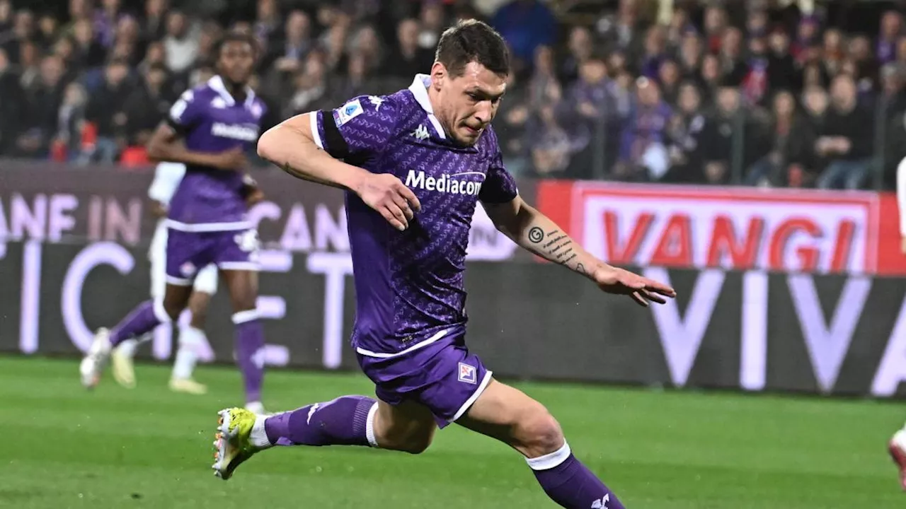 Fiorentina, sale la febbre per la finale. Italiano col dubbio centravanti: Belotti o Nzola?