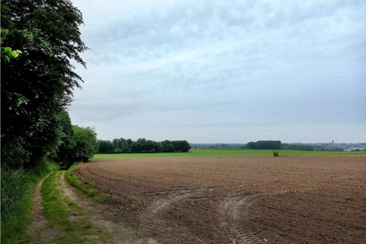 Een nieuwe week brengt nieuwe regenbuien: maxima komen niet boven de 18 graden