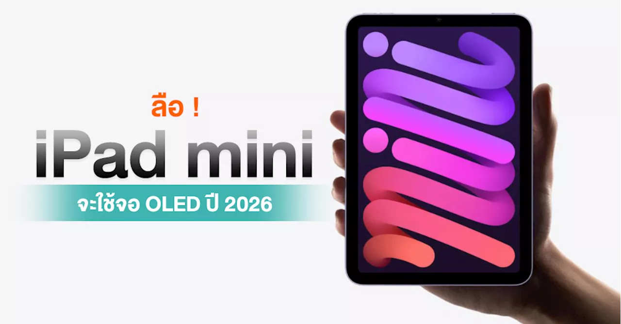 ลือ ! Apple กำลังพัฒนาหน้าจอ OLED ใน iPad mini รุ่นใหม่ ลุ้นเปิดตัวปี 2026