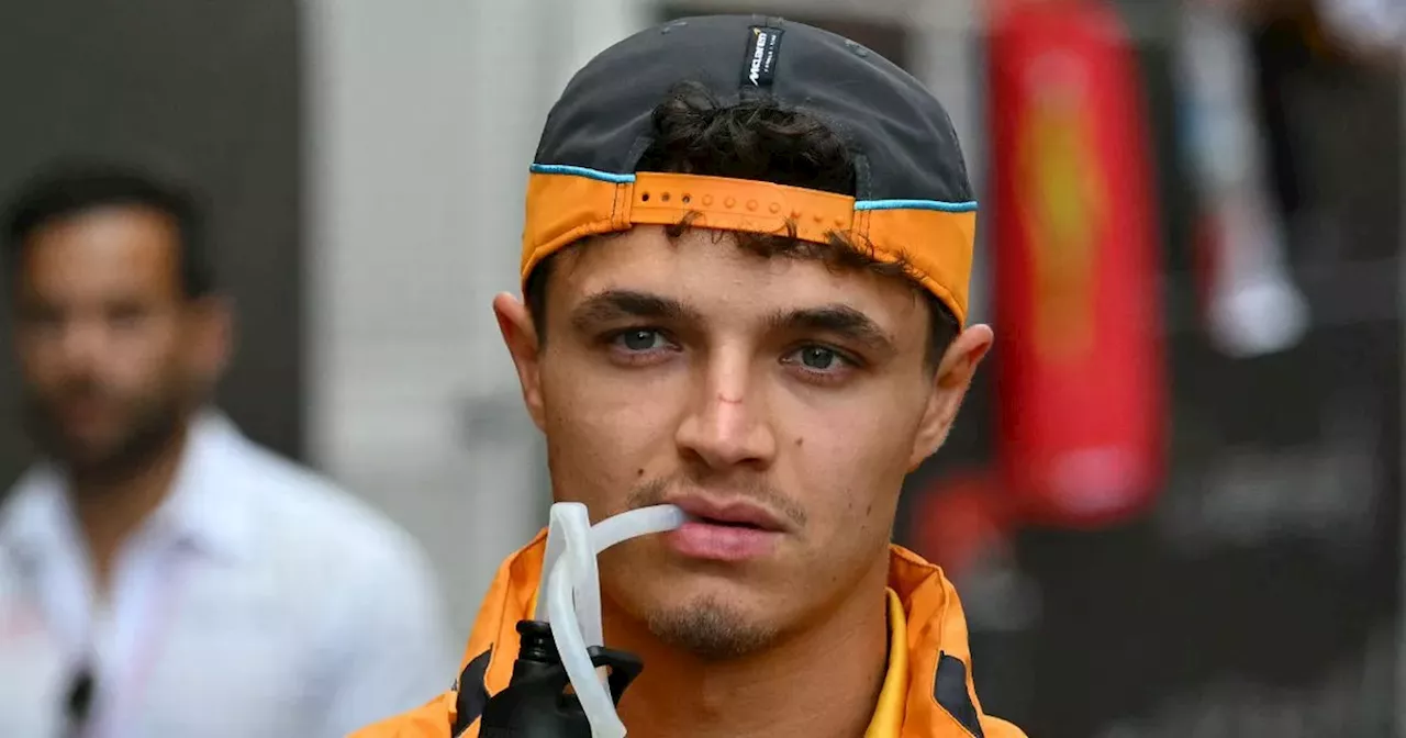 Lando Norris fumes at 'frustrating and unfair' FIA decision as F1 rival agrees