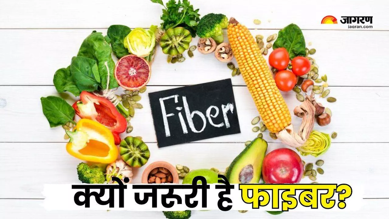 Fibre Rich Foods: पाचन दुरुस्त रखने के साथ कई बीमारियों से भी बचाता है फाइबर, इन चीजों से करें इसकी कमी दूर