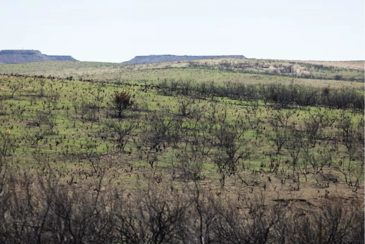 Three months after the Texas’ largest wildfire, Panhandle residents are preparing for the next one