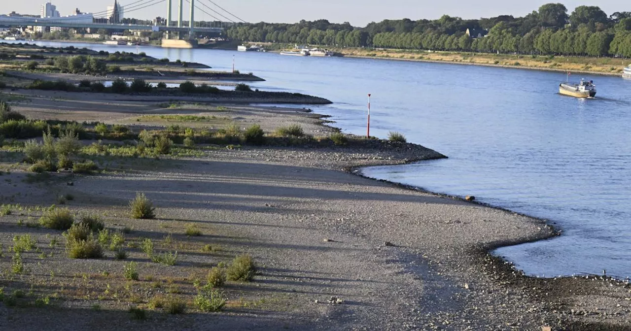 Mann im Rhein vermisst: Strömung riss mehrere Menschen mit