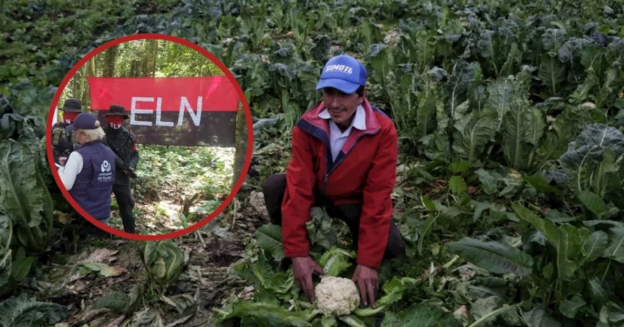 Agricultores preocupados por acuerdo entre Gobierno y ELN