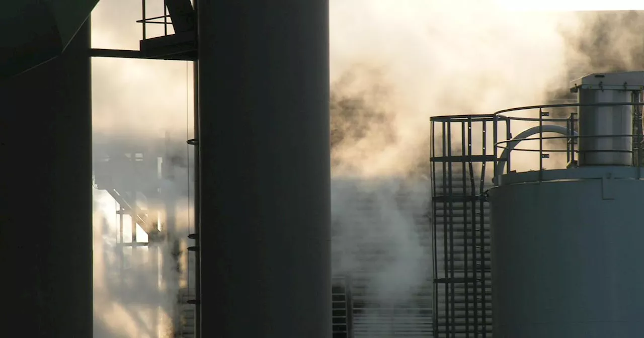 «Je ne joue pas ma vie à pile ou PFAS», près de Lyon, une manifestation contre les polluants éternels près du site d'Arkema