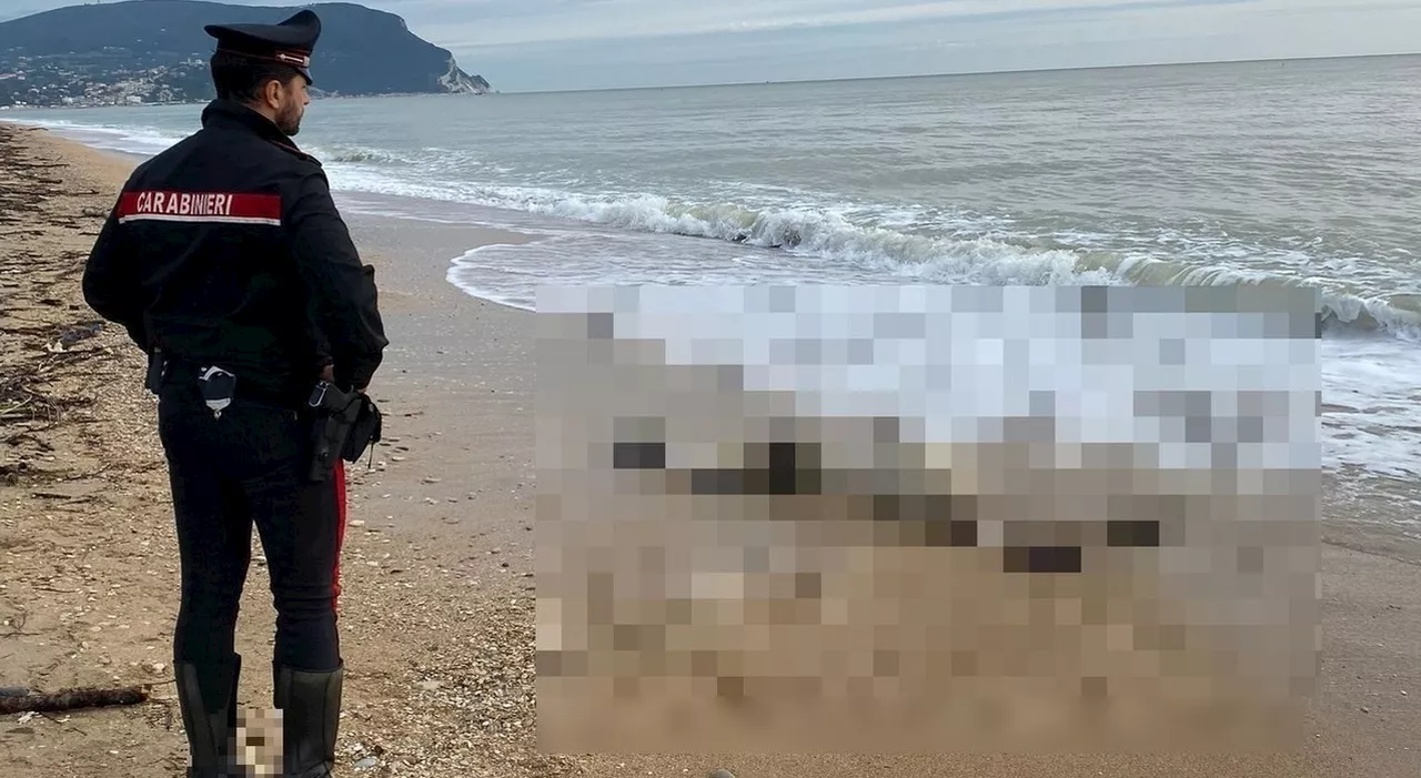 Cadavere amputato in spiaggia: la scoperta dei turisti arrivati per la prima tintarella