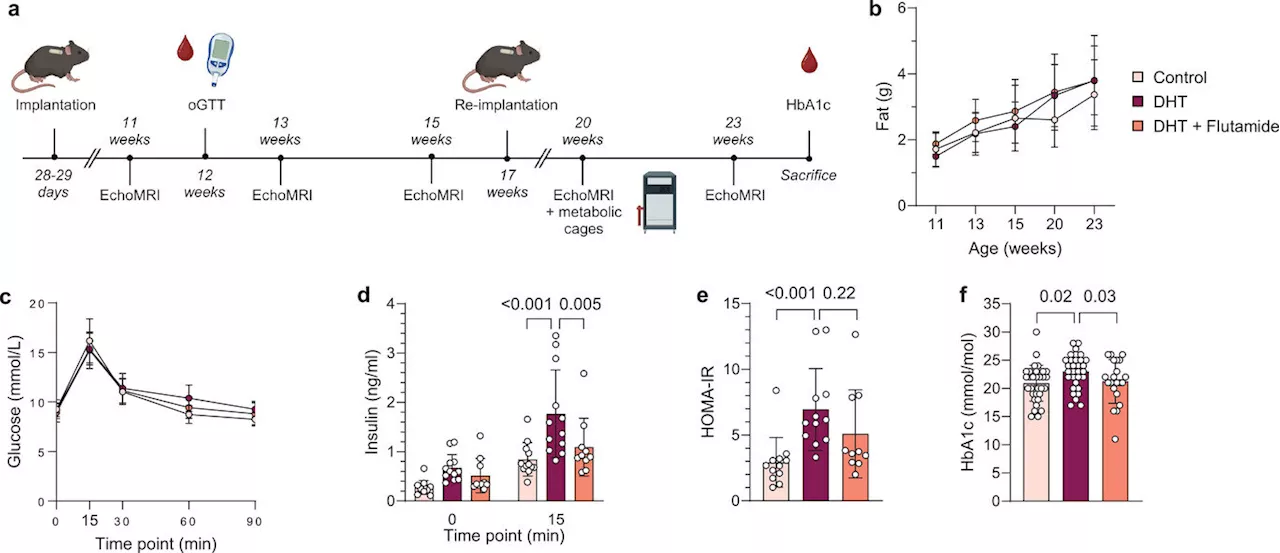 Researchers identify immune dysfunction as a possible aspect of polycystic ovary syndrome pathology