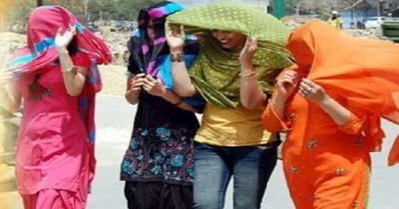 Heat Wave Alert: Delhi-NCR, Haryana, Punjab, Rajasthan और UP में IMD की Heat Wave को लेकर Warning