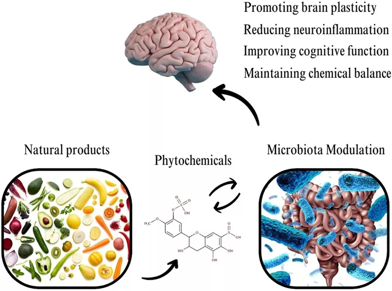 Phytochemicals show promise in treating neurological disorders by influencing the gut-brain axis