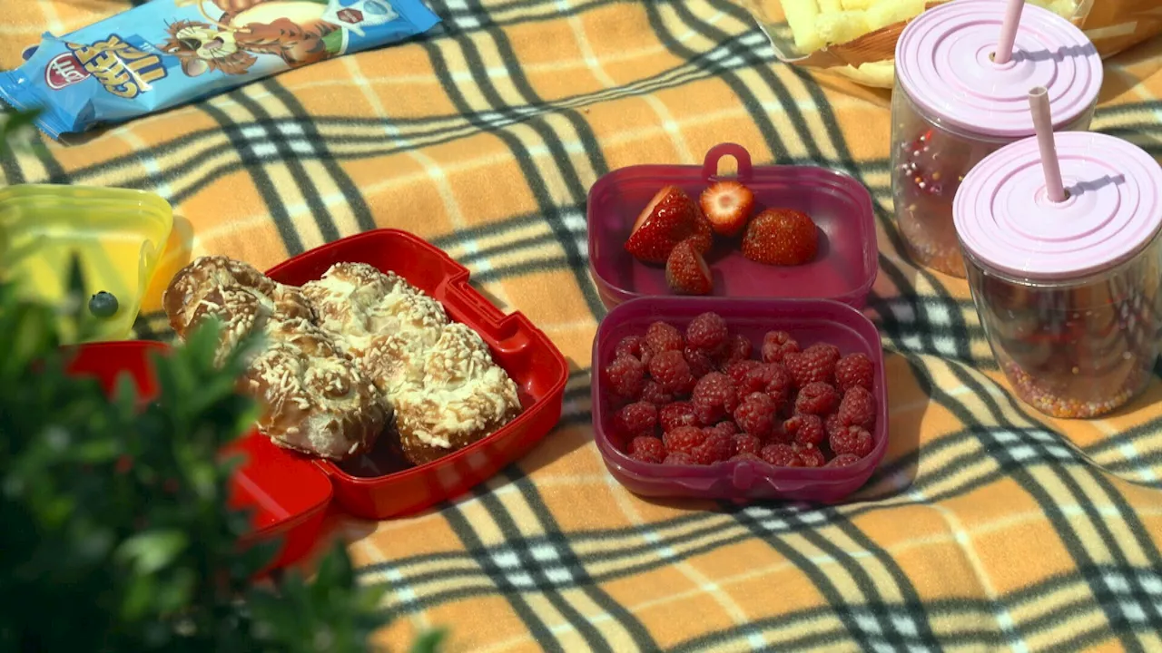 Familienpicknick im Schlosspark in Schwadorf