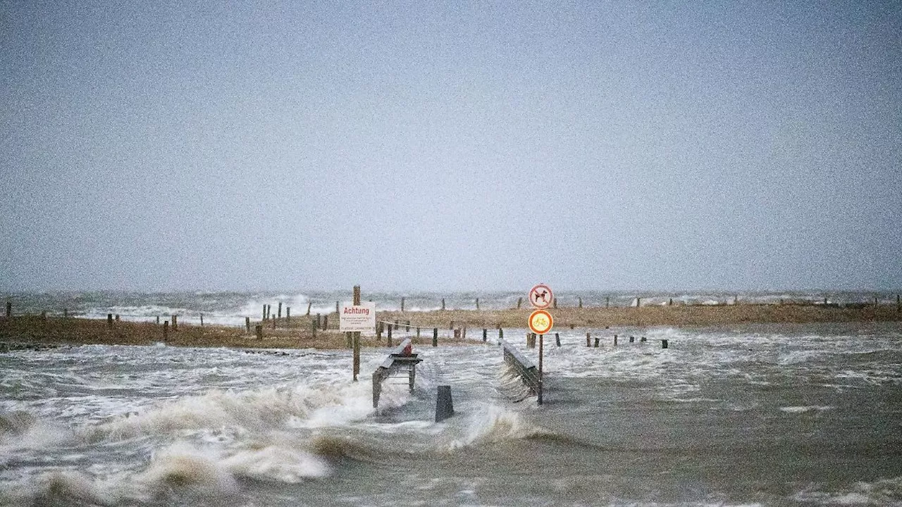 Hamburg & Schleswig-Holstein: Schaden durch Wetterextreme im Norden 2023 leicht gesunken