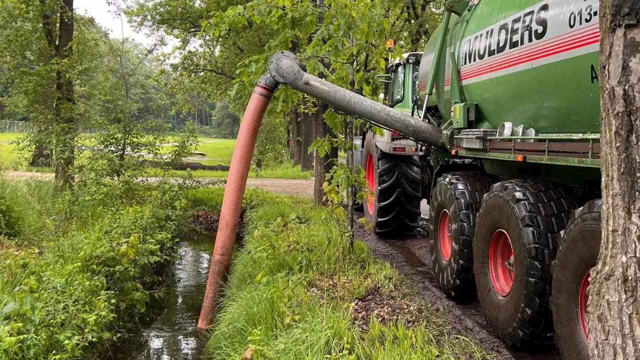 Festival Intents strijdt tegen wateroverlast: 'Kregen honderden berichten'