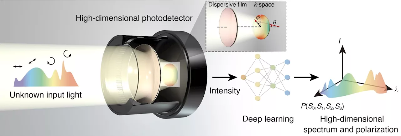 Researchers create dispersion-assisted photodetector to decipher high-dimensional light