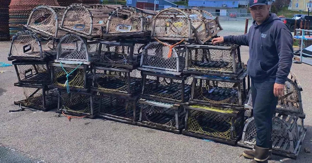 'Trap after trap, they cut the mesh off': Cape Breton Indigenous lobster fisher says traps sabotaged