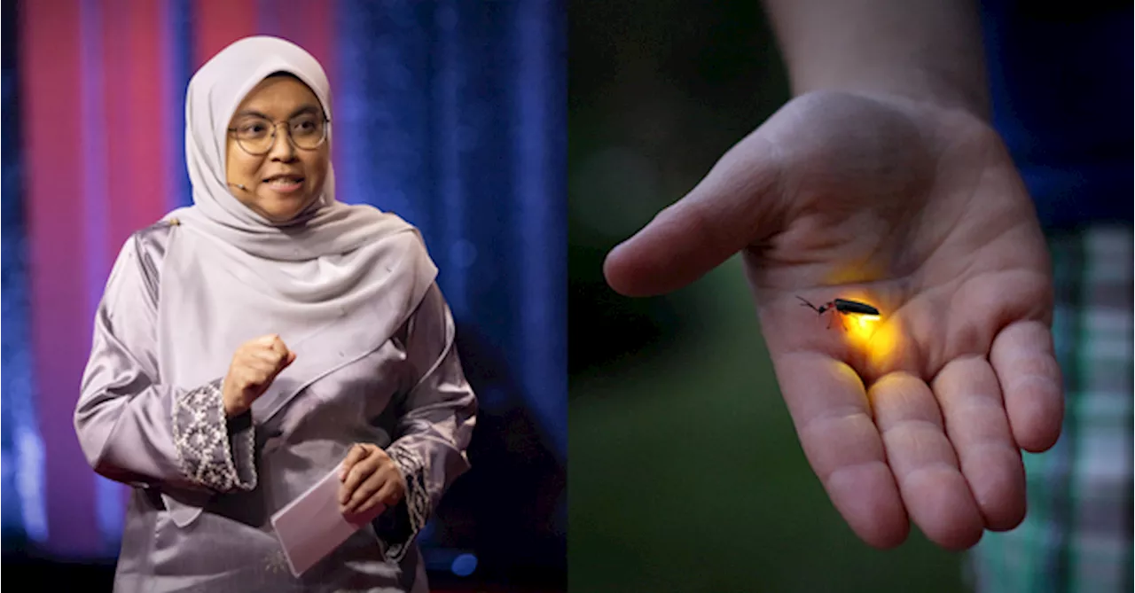 Malaysian Firefly Researcher Speaks About Her Life's Work At US TED Talk