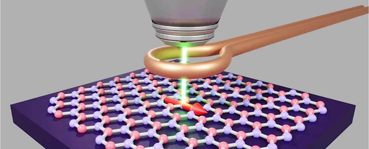 Physicists Demonstrate Room Temp Quantum Storage in 2D Material