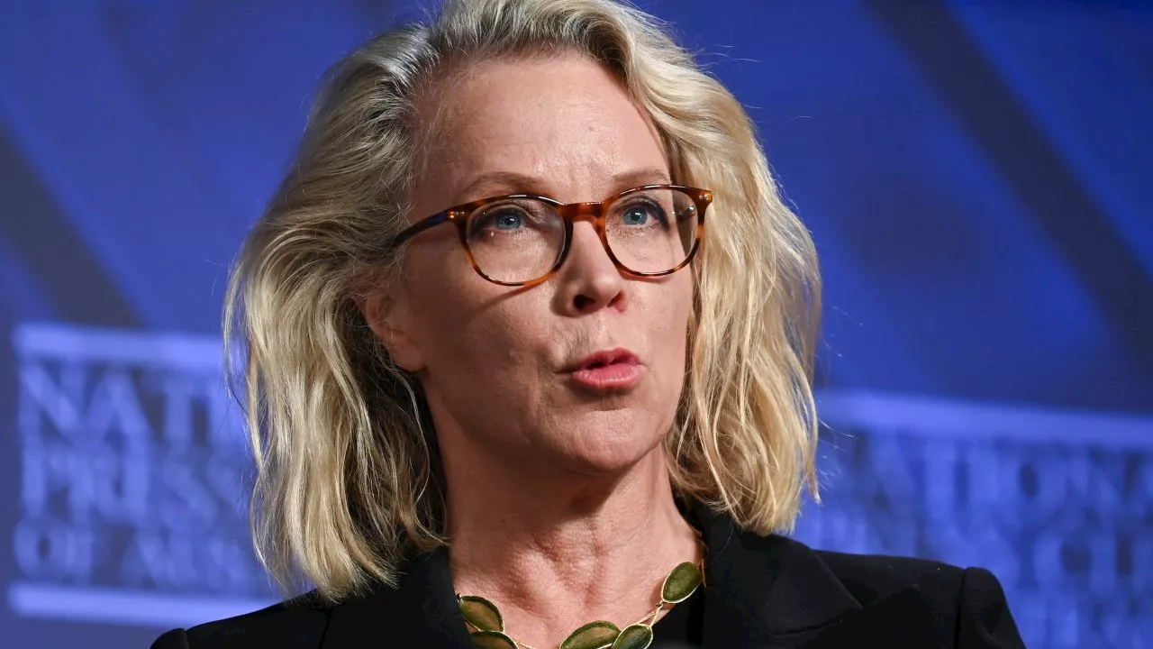 ABC’s Laura Tingle lashed after calling Australia a racist country