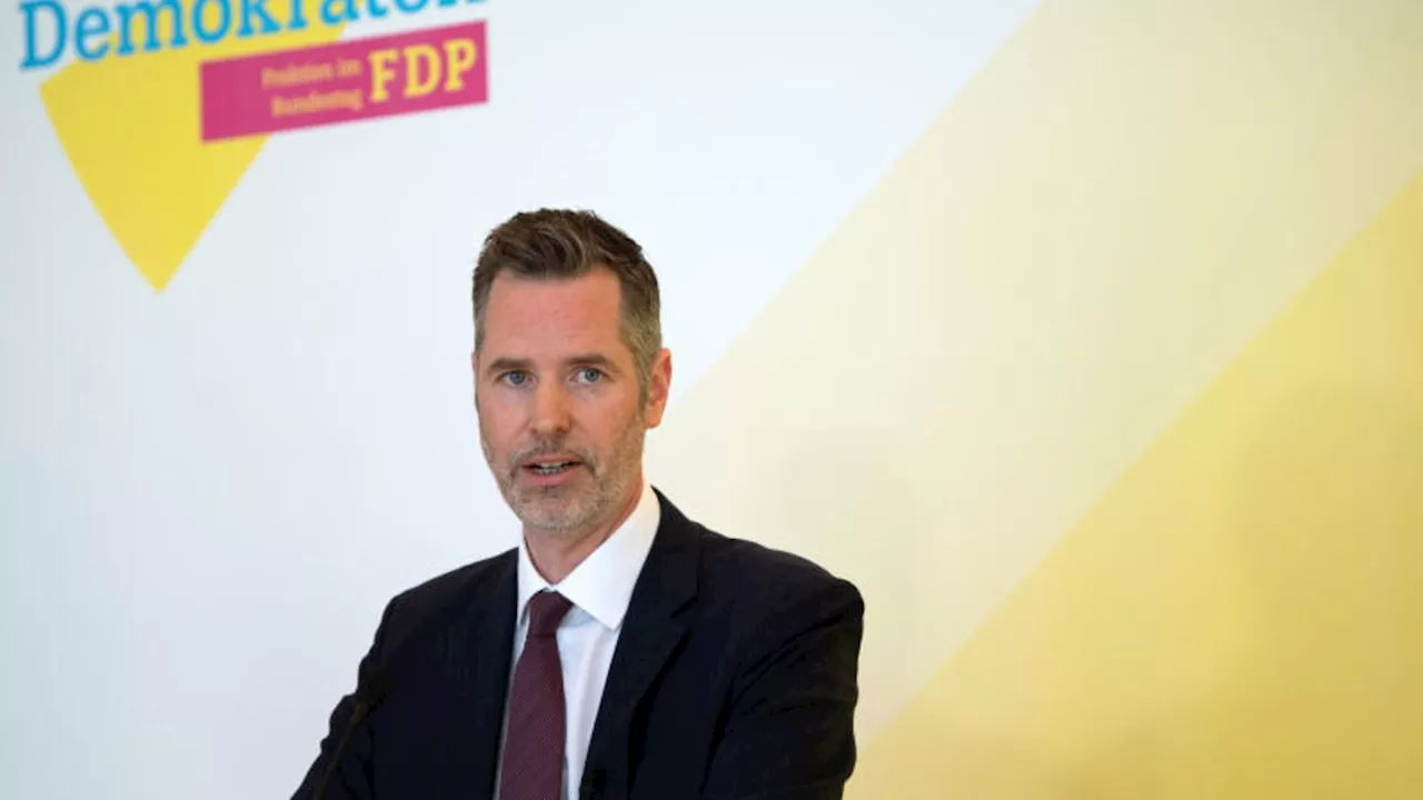 FDP-Fraktionschef Christian Dürr will 'Albanien-Modell' genau ansehen