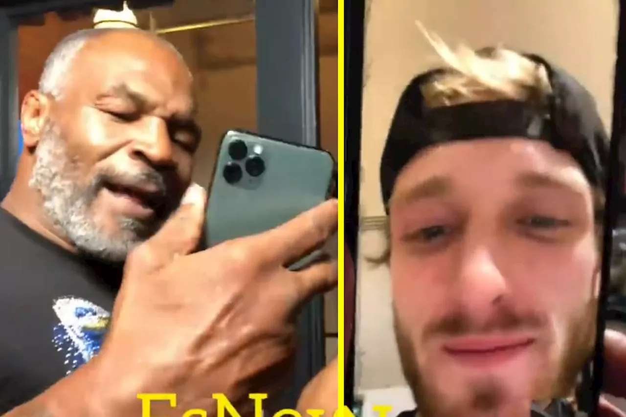 – Mike Tyson FaceTimed Logan Paul and made shock confession after predicting he would get bea...