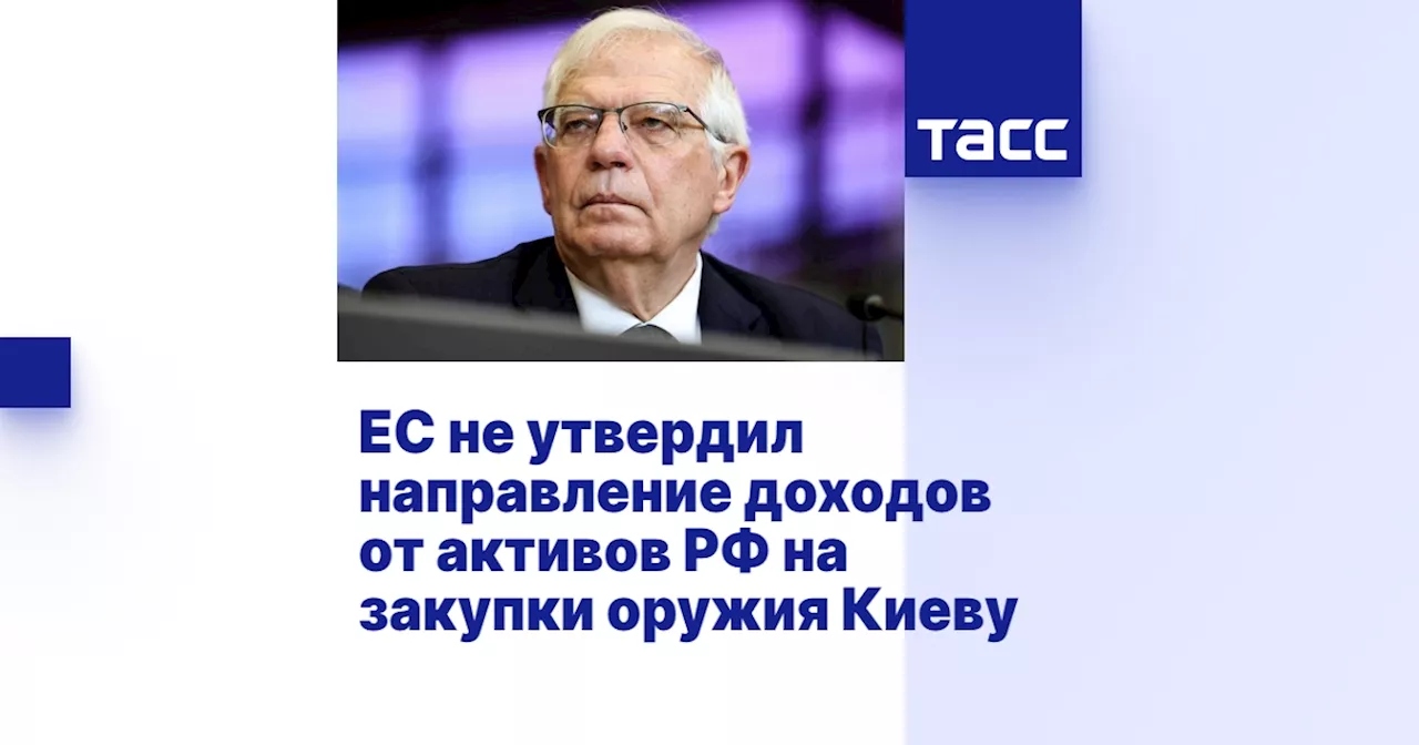 ЕС не утвердил направление доходов от активов РФ на закупки оружия Киеву