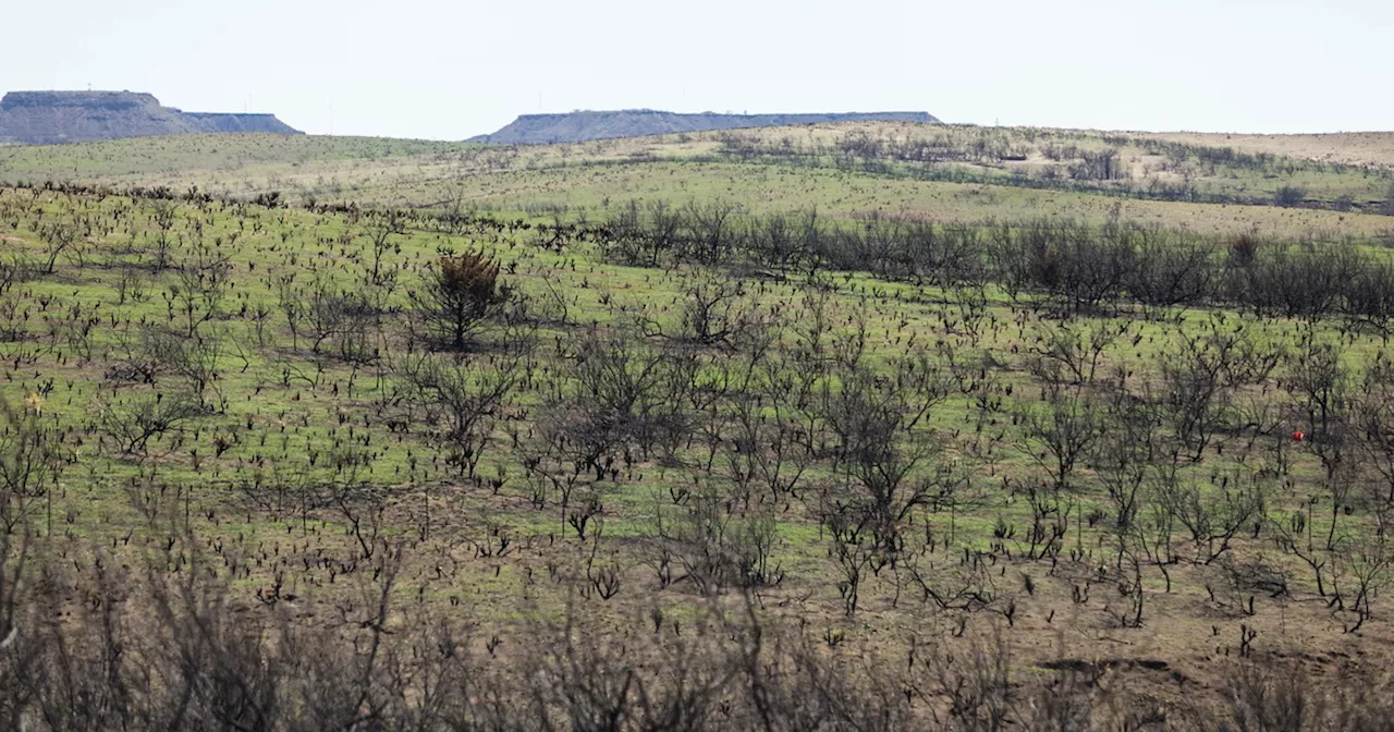 Texans are preparing for the state’s next big wildfire