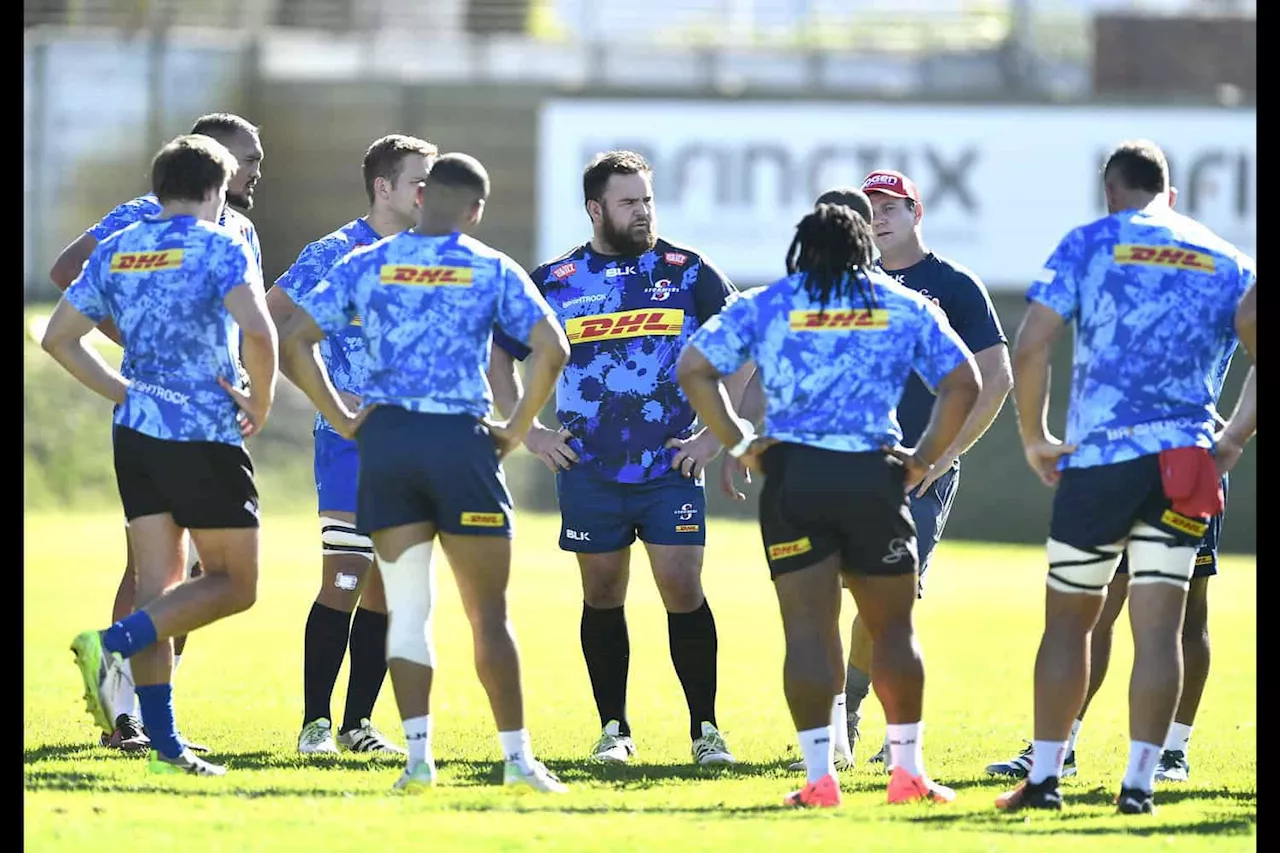 Lions will be perfect test ahead of URC playoffs, says Stormers coach