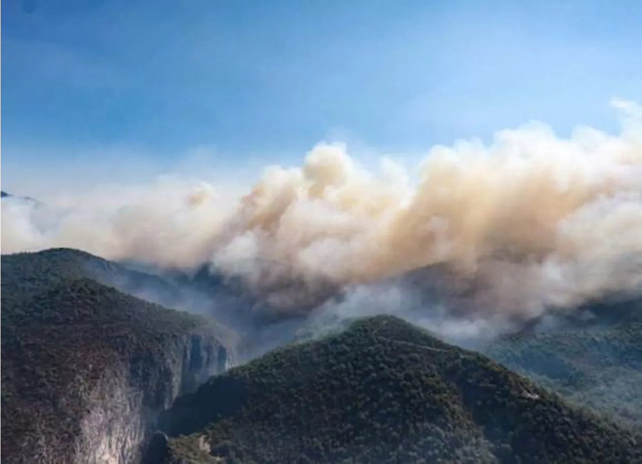 Incendio forestal en la sierra de Santiago, NL, no termina de ceder