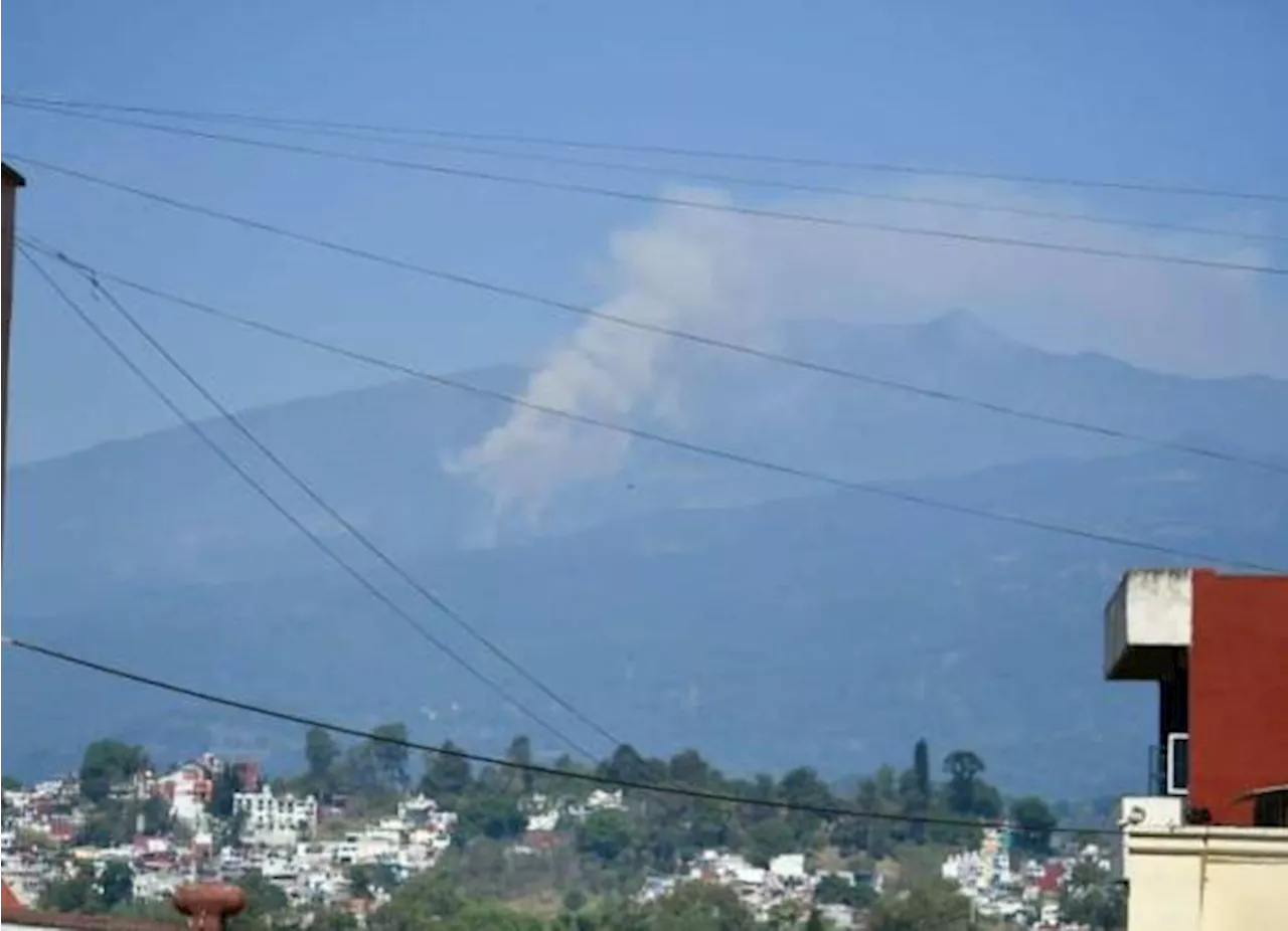 Registra Veracruz 15 incendios forestales y 5 de pastizales