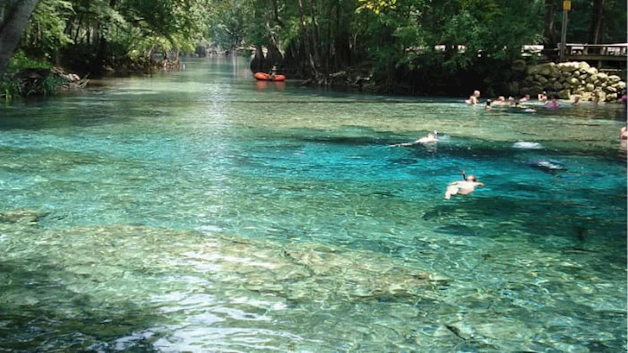 Deputies investigating 2 separate shootings inside Ginnie Springs over Memorial Day weekend