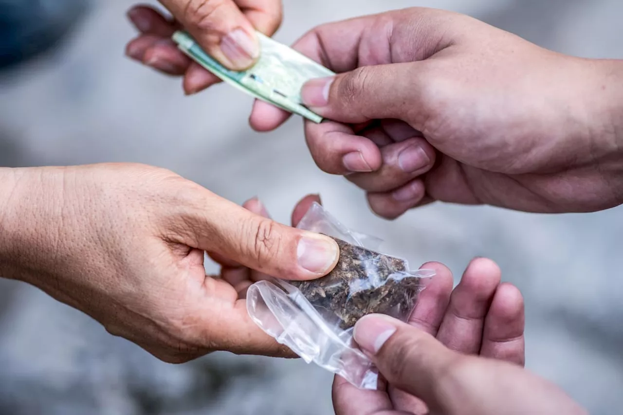 Seis presuntos expendedores de droga fueron capturados en Barranquilla