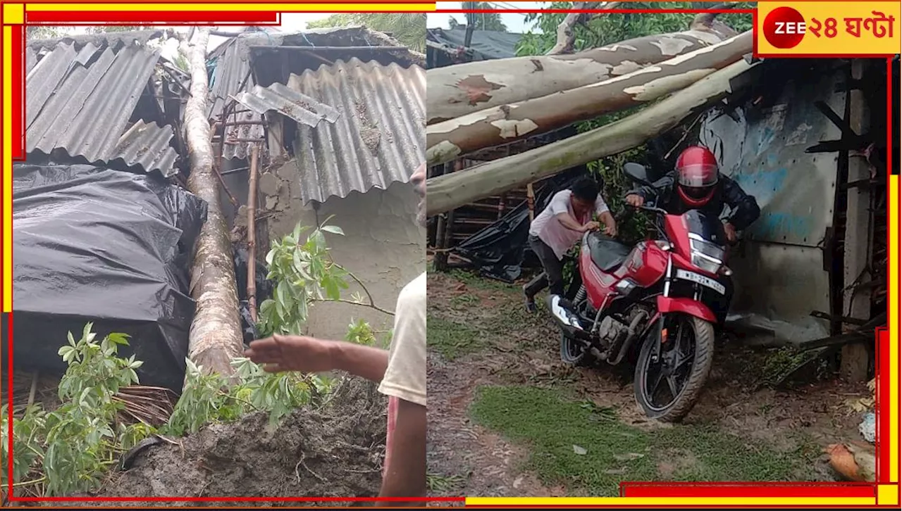 Cyclone Remal Update: ভাতের পাতেই বৃদ্ধার মাথায় পড়ল গাছ, শিশুকোলে ভিজছে ঘরহীন পরিবার! রিমালে বাড়ছে মৃত...