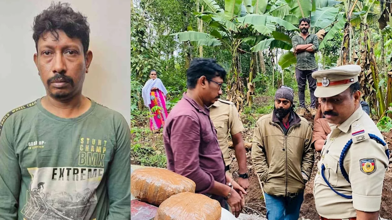 Ganja Seized in Idukki: രാമക്കൽമേട്ടിൽ വൻ കഞ്ചാവ് വേട്ട: പിടികൂടിയത് ഏഴര കിലോ കഞ്ചാവ്