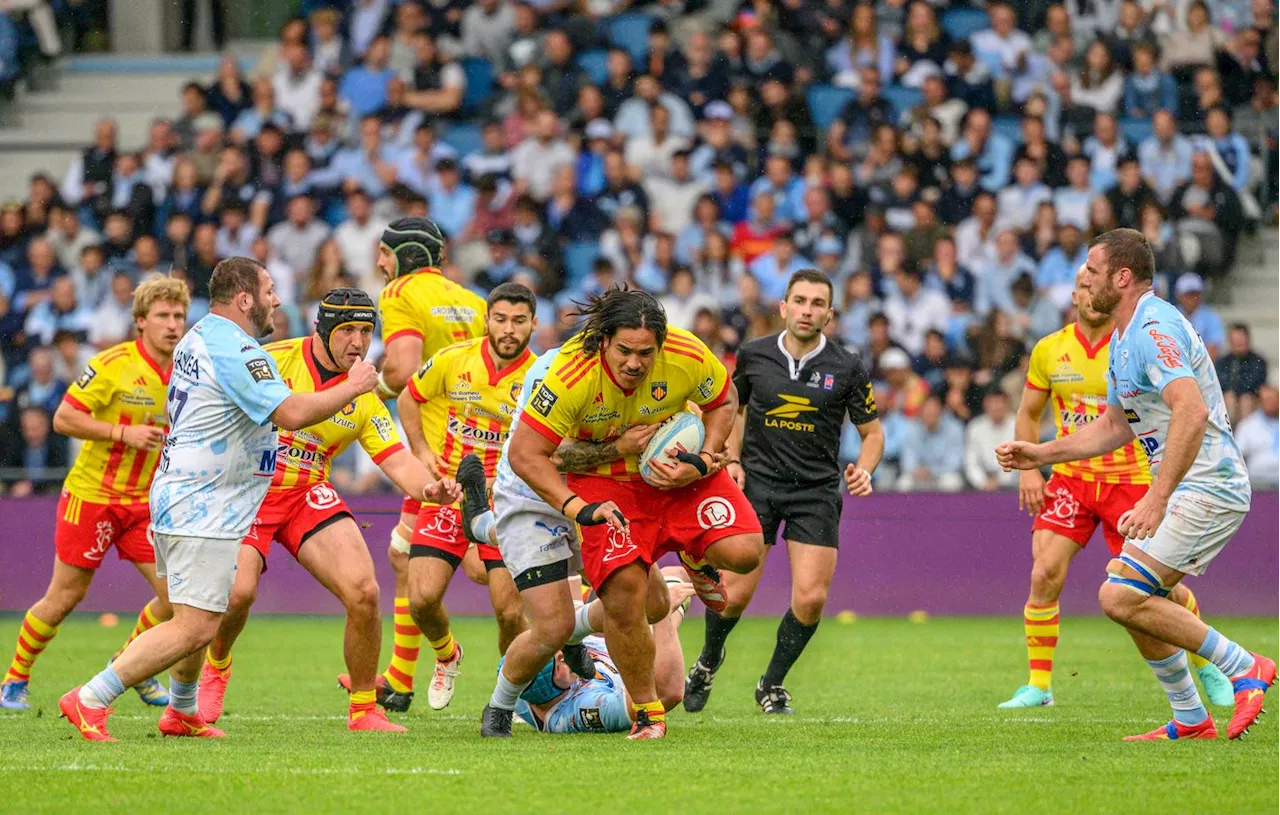 Top 14 : Le club de rugby de Perpignan porte plainte contre trois de ses supporteurs