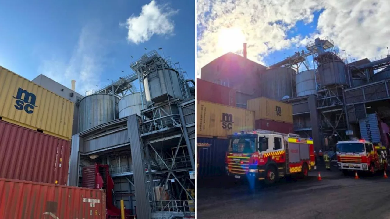 Factory workers evacuated as fire erupts in grain silo at Bomaderry plant, south of Sydney