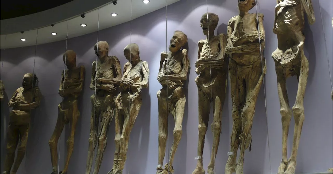 Arm of famous mummy comes off after 'mishandling' by museum staff in Mexico