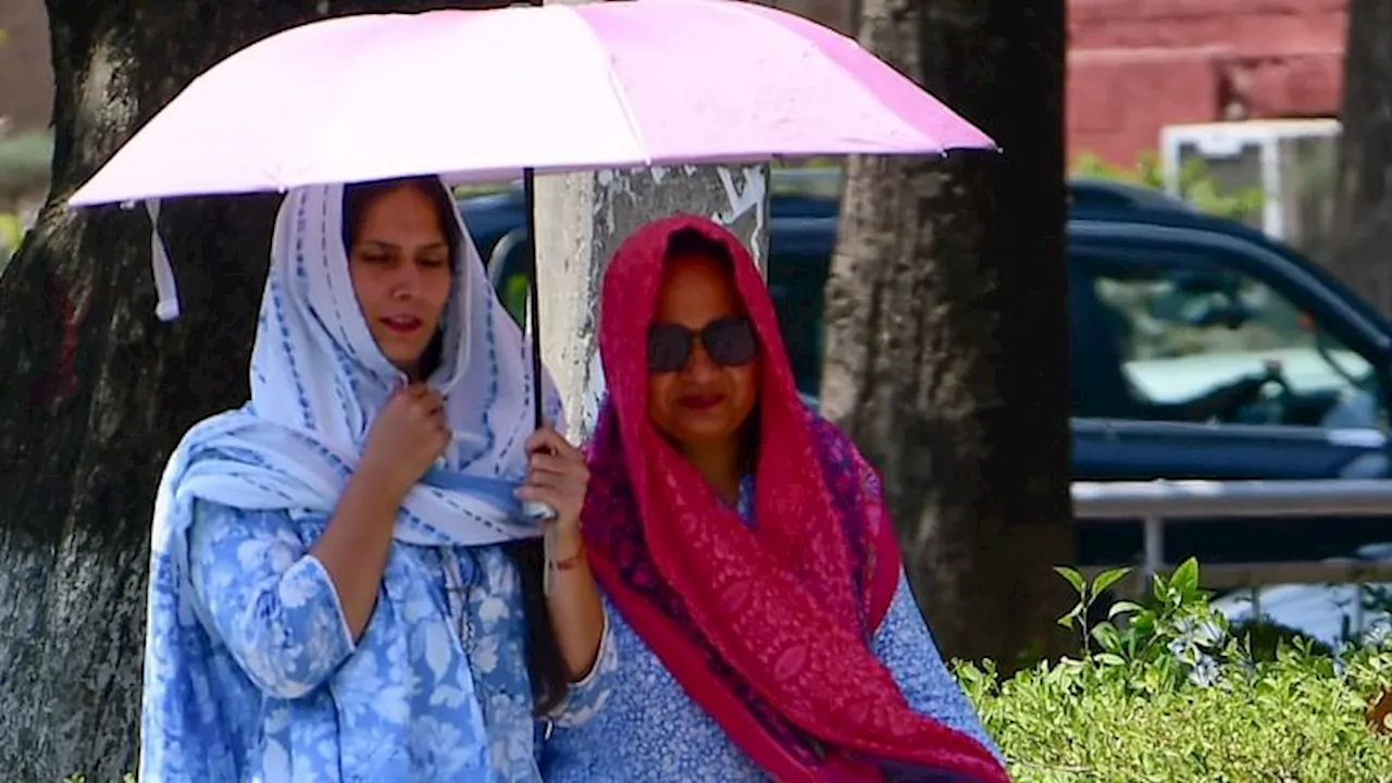 Punjab Weather: 48.4 डिग्री पहुंचा पारा, पंजाब में आज तक नहीं पड़ी ऐसी भीषण गर्मी, दो दिन का रेड अलर्ट जारी