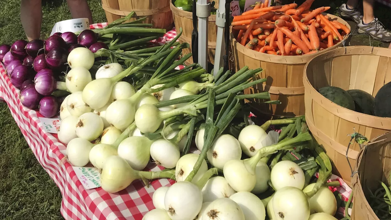 Why I love my CSA (it's more than the weekly box of fresh produce)