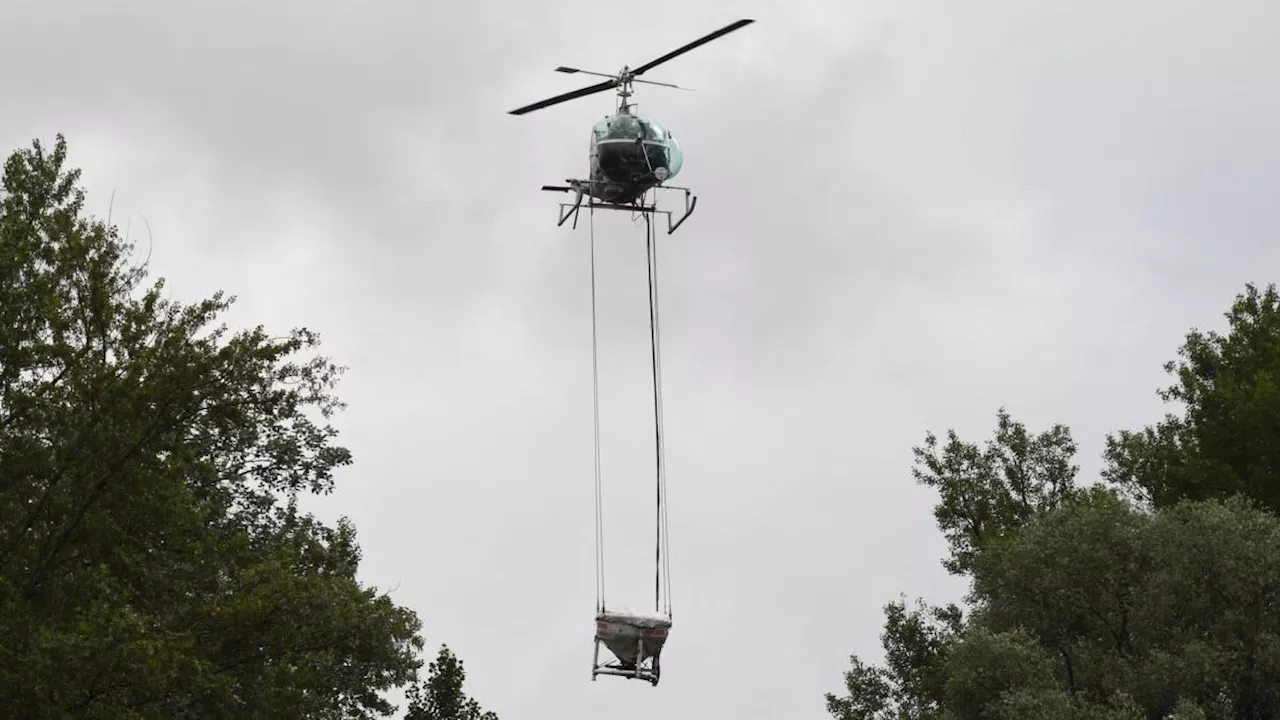 Regen sorgt für Mehrarbeit bei Stechmückenjägern