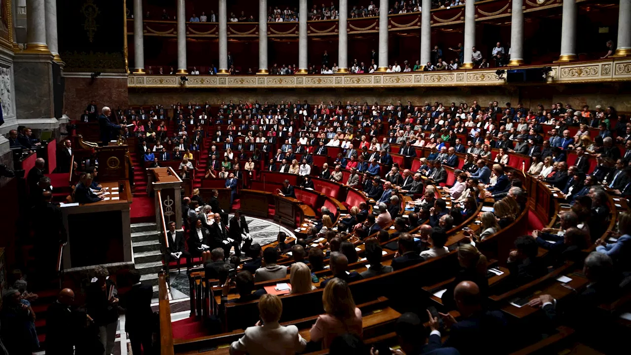 Drapeau palestinien à l'Assemblée: le député LFI Sébastien Delogu exclu 15 jours