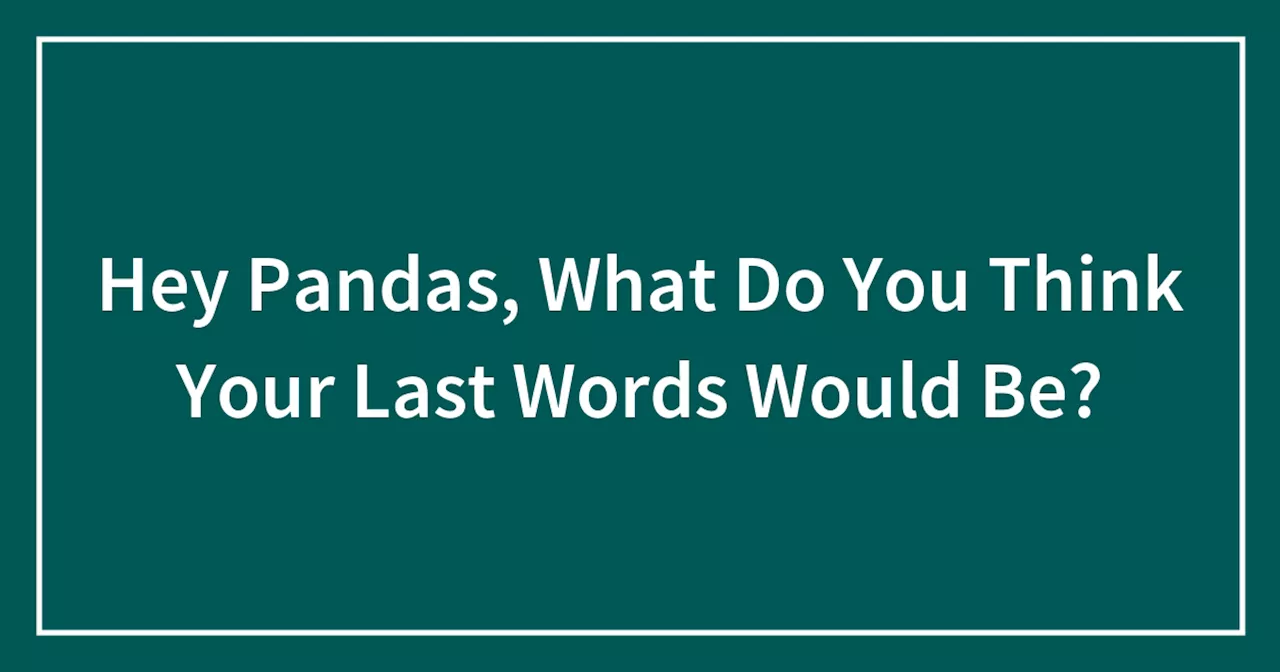 Hey Pandas, What Do You Think Your Last Words Would Be?