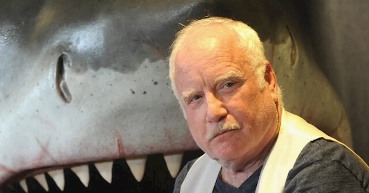 Richard Dreyfuss Accused of Making Sexist, Homophobic Comments at ‘Jaws’ Screening