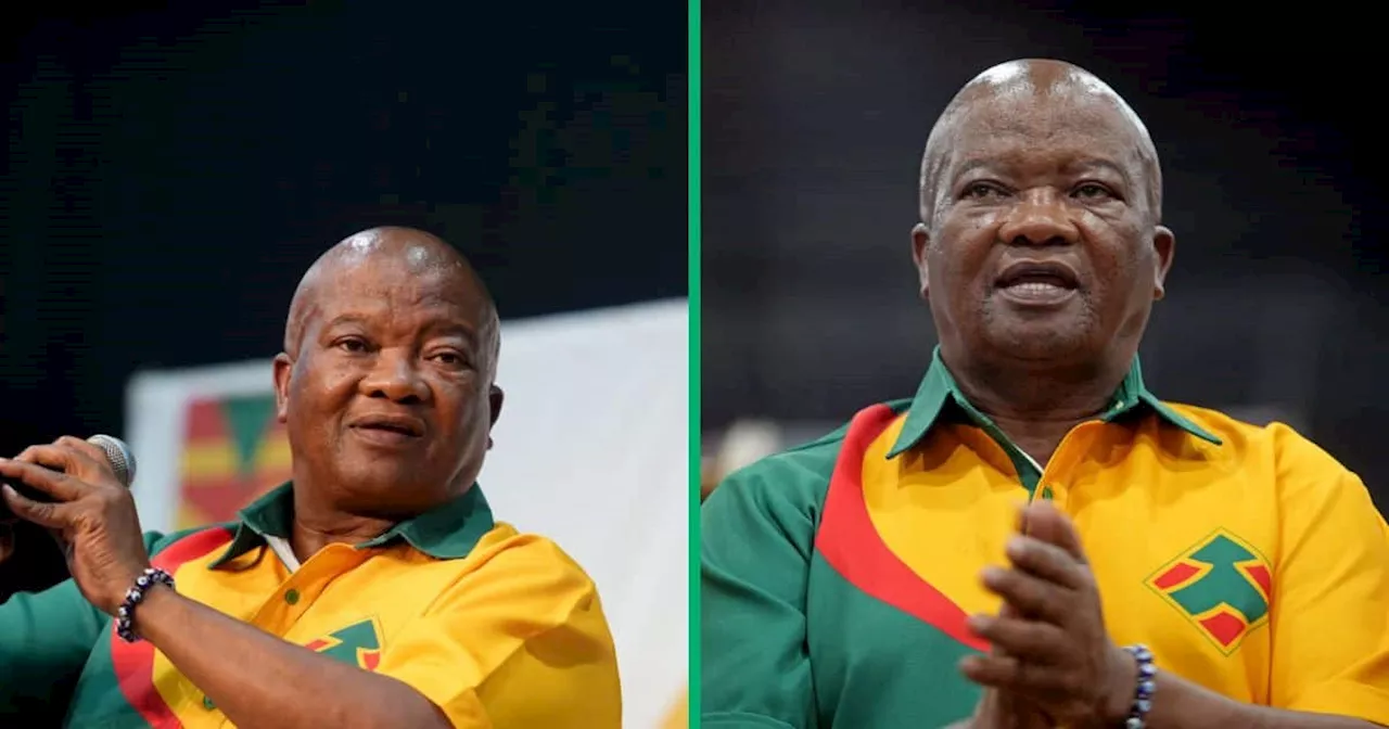 United Democratic Movement Leader Bantu Holomisa Tells Critics to Go to Hell