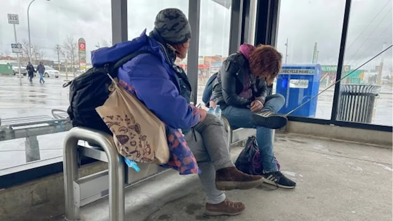 New report blames transit safety problems on gaps in Calgary's shelter system