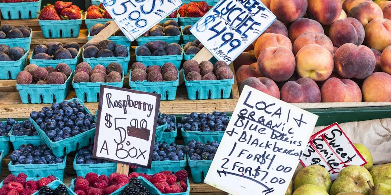 Bipartisan Support for Small-Scale Farmers Could Advance the Farm Bill
