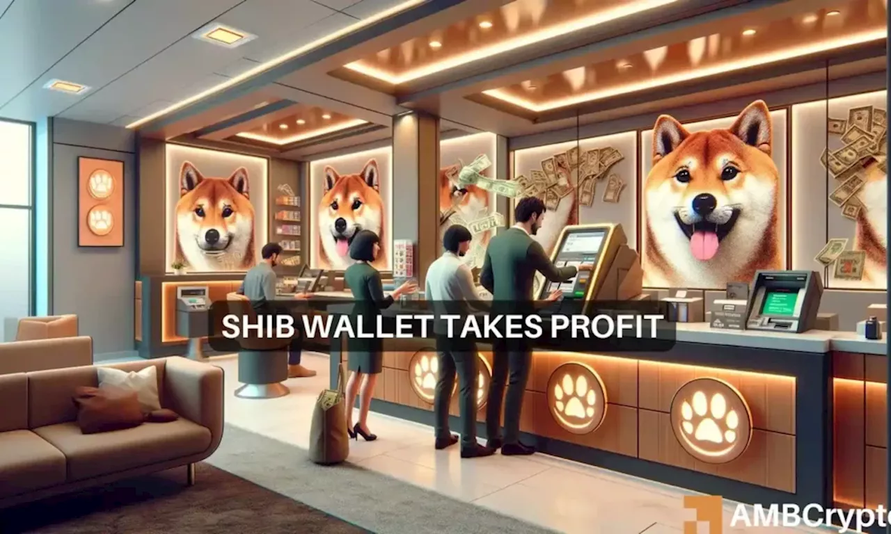 Shiba Inu whale moves 48B tokens; SHIB’s price reacted by…